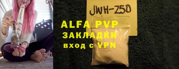 индика Алексин