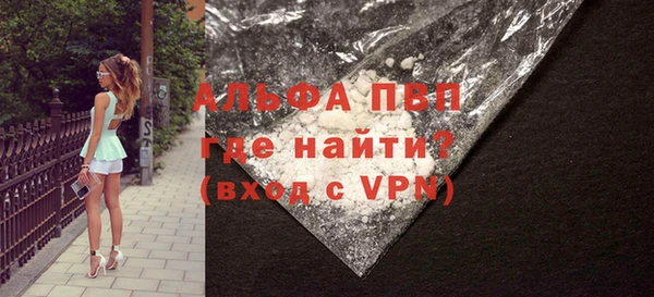 индика Алексин