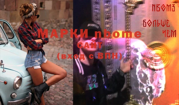 индика Алексин
