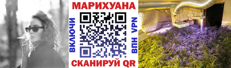 Бошки Шишки гибрид  Суровикино 